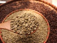 Chất Lượng Cà Phê Robusta