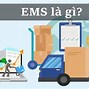 Dịch Vụ Ems Là Gì