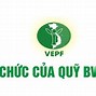 Quỹ Bảo Vệ Môi Trường Việt Nam (Vepf)